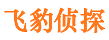 翼城市私家侦探